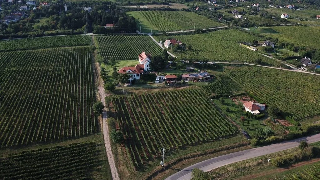 Légi felvétel Buda II. kerületéről, a Kóstolom Borbár környékéről
